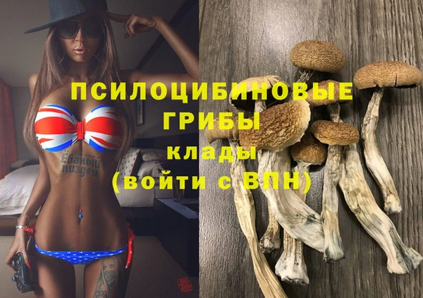 СК Балахна