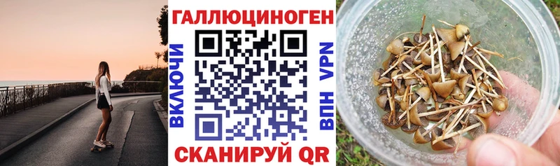 MEGA вход  Печоры  Галлюциногенные грибы ЛСД 